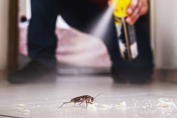 Best Commercial Pest Control Services  in El Monte, CA